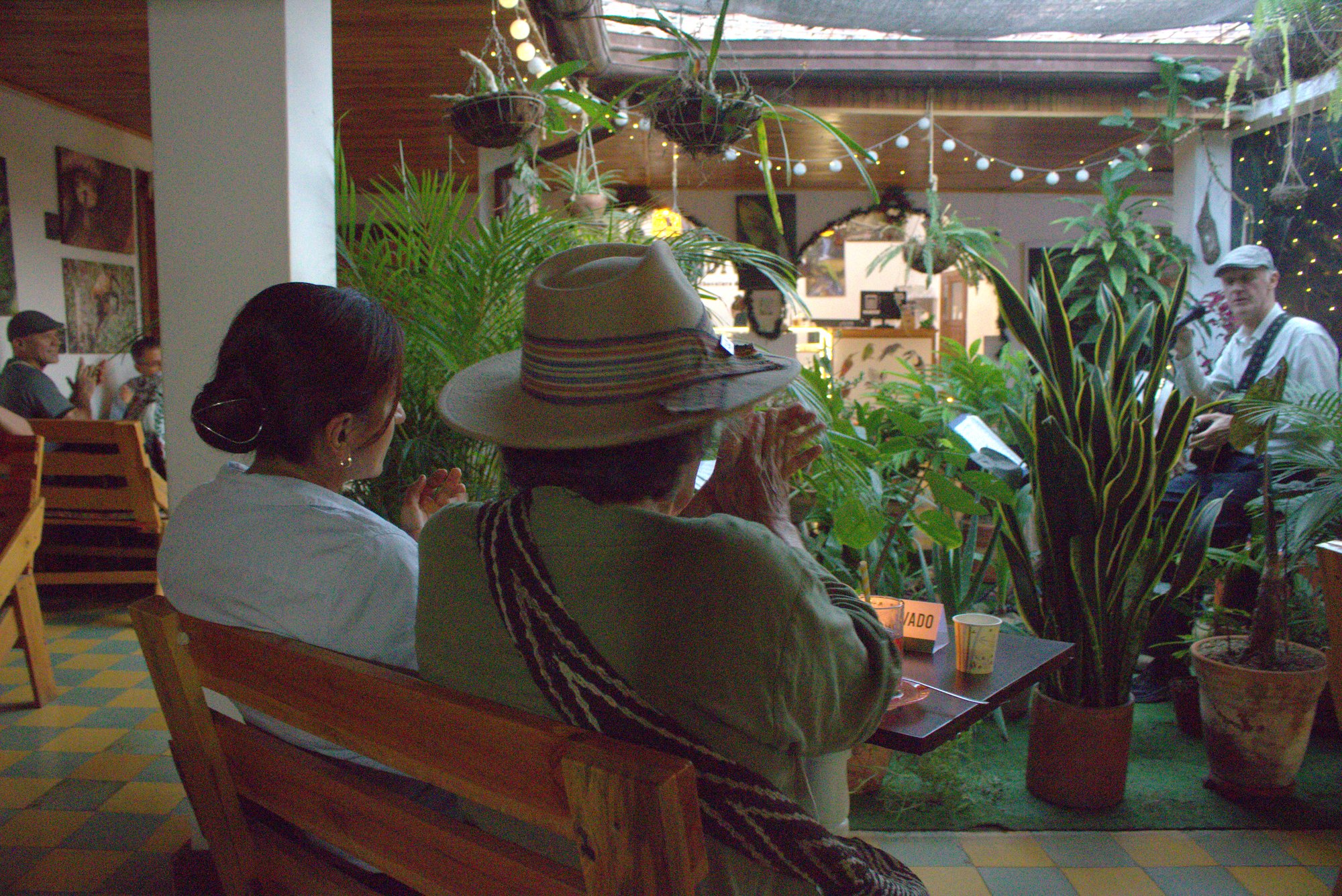 Vista desde el público hacia el músico, entre plantas y luces, en un patio interior